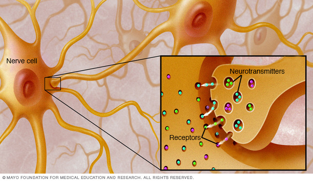 Receptors for neurotransmitters 